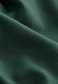 Next LONG SLEEVE HEAVYWEIGHT GRAPHIC  - Top dugih rukava - green