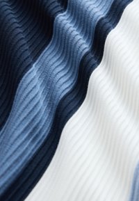 Next VERITCAL STRIPE - REGULAR FIT - Polo majica - blue navy