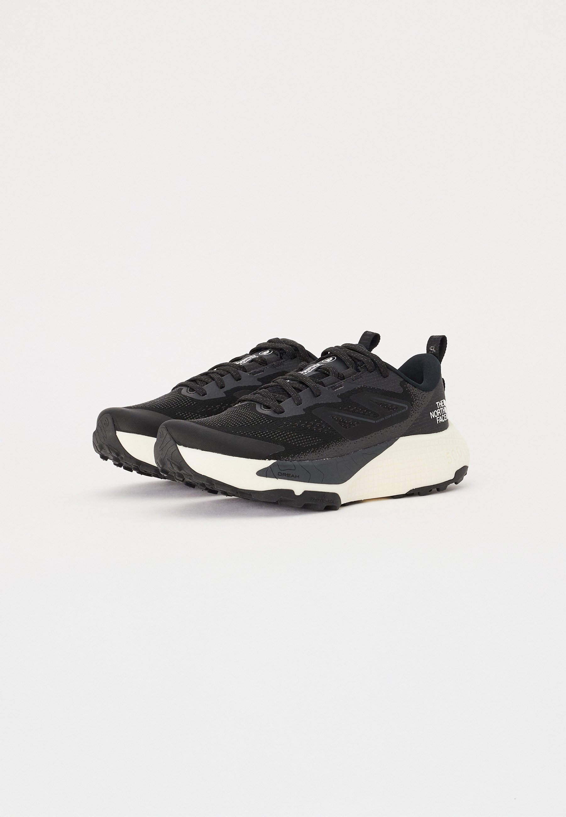 The North Face ALTAMESA 500 - Obuwie do biegania Szlak