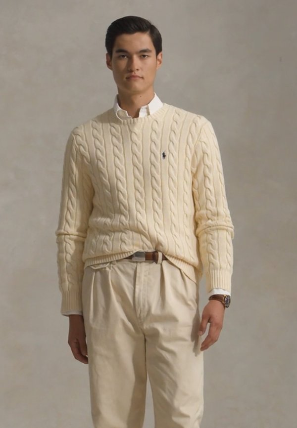 CABLE KNIT COTTON JUMPER - Jumper - beige2