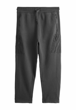 RELAXED FIT - GARMENT WASH UTILITY STYLE JOGGERS - Trousers - slate grey