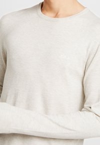 Pull gris clair en tissu doux, doté d'un col rond, de manches longues et d'un détail discret avec logo sur la poitrine.