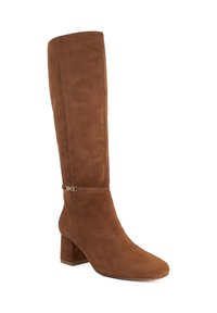 Brown suede knee-high boot with a pointed toe, block heel, and a gold accent buckle detail on the ankle strap. Smooth texture.