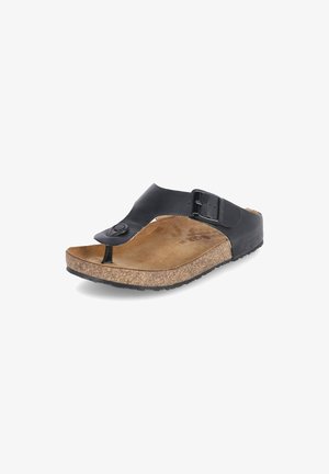 Haflinger, Mules - schwarz