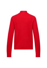 Roter Pullover mit langen Ärmeln, von hinten gezeigt, mit einem hohen Rundhalsausschnitt und eng anliegenden Bündchen.