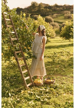 Žena u kariranoj haljini bere limune s drveta pored drvene ljestve i dvije košare pune limuna u sunčanom voćnjaku.