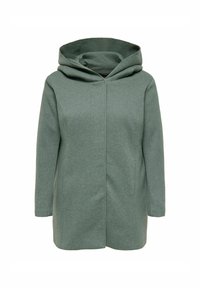 Manteau à capuche vert avec une fermeture à l'avant, fabriqué en tissu doux. Il présente un design minimaliste, des manches longues et des poches latérales.