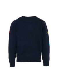 Maglione a maglia blu navy con scollo rotondo e polsini a costine, caratterizzato da accenti ricamati colorati sulle maniche. Vista posteriore mostrata.
