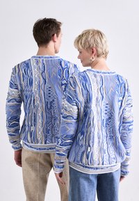 Pull en tricot bleu, doté de motifs complexes en blanc et beige. Encolure ronde, poignets et ourlet côtelés. Design de surface texturée.