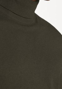Oliwkowy sweter z golfem, wykonany z miękkiej dzianiny. Posiada prążkowany kołnierz i gładką fakturę, z dopasowanym krojem.