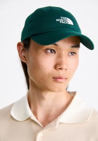 The North Face NORM HAT - Sapka - hunter green