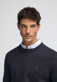 Marineblauer Strickpullover mit geripptem Kragen und kleinem rotem Logo auf der linken Brust. Darüber getragen wird ein weiß-blau gestreiftes Hemd.