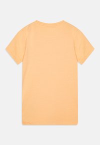 Lühikeste varrukatega t-särk heledast oranžist, pehmest puuvillast. Omab klassikalist ümmargust kaelust ja sujuvat, kaunistamata selga.