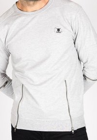 Sudadera gris de manga larga, con cuello redondo, bolsillos laterales con cremallera y un pequeño detalle de logo en el pecho. Textura suave.