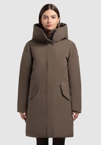 Bruine geïsoleerde winterjas met een hoge kraag, rits aan de voorkant en zijzakken, met een gladde textuur en knie-lengte ontwerp.