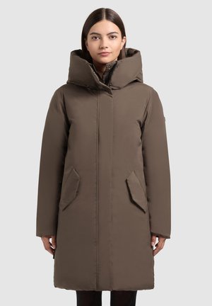 Bruine geïsoleerde winterjas met een hoge kraag, rits aan de voorkant en zijzakken, met een gladde textuur en knie-lengte ontwerp.