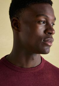 Tom Joule REGULAR FIT - CREW NECK - Svetrík - burgundy