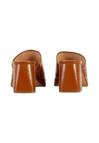 Mule con tacco largo di colore marrone, dalla finitura in pelle liscia, con retro aperto e design a punta quadrata. Il tacco è spesso e leggermente trasparente.