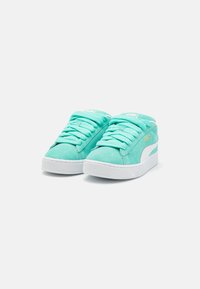 Puma UNISEX - Gördeszkacipők - mint/white