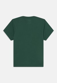 Green cotton t-shirt with short sleeves, crew neckline, and a solid design. Smooth texture and hemmed edges on sleeves and bottom.