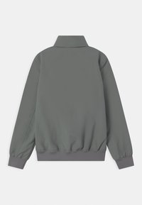 Šedá lehká bunda s límečkem, elastickými manžetami a lemem. Hladká textura, jednoduchý design, jednobarevný, bez výrazných zdobení.