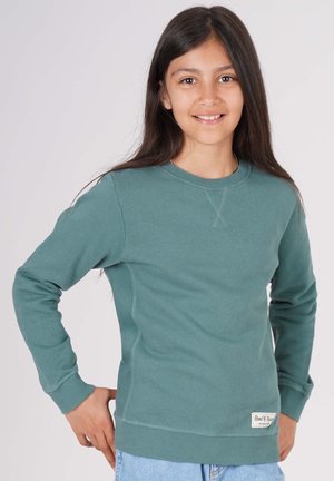 Grøn sweatshirt med lange ærmer, ribbede manchetter og kant, med en struktureret sømdetalje og et lille mærke i bunden.