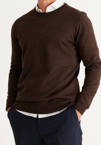 AC&CO / ALTINYILDIZ CLASSICS Strickpullover - brown
