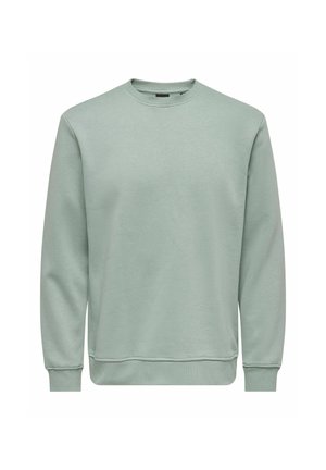 Sudadera verde claro hecha de una tela suave, con cuello redondo, mangas largas y puños y dobladillo acanalados. Diseño liso sin patrones.