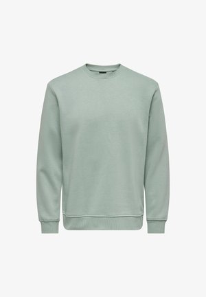 Helles grünes Sweatshirt aus weichem Stoff, mit rundem Hals, langen Ärmeln und gerippten Bündchen und Saum. Schlichte Ausführung ohne Muster.
