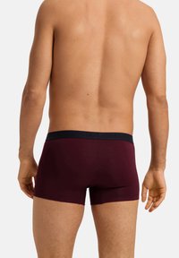 Pánské boxerské trenýrky v barvě burgundského vína s černým elastickým páskem, mají hladkou texturu a těsný střih, zobrazené zezadu.