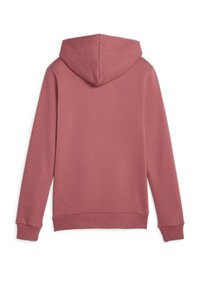 Puma LOGO HOODIE - Felpa con cappuccio - astro red