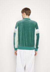 Zielona aksamitna kurtka z jasnymi zielonymi i białymi panelami bocznymi, prążkowanymi mankietami i kołnierzem. Gładka tekstura i luźny krój pokazane od tyłu.