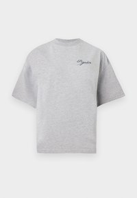 PALORA HEAVY OVERSIZED TEE - Majica kratkih rukava s printom - grey