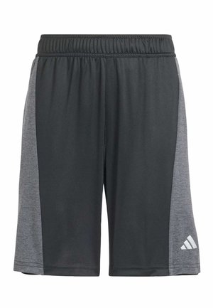 Shorts de sport noirs avec un panneau latéral gris, fabriqués en tissu léger. Caractérisés par une taille élastique et un petit logo blanc dans le coin inférieur droit.