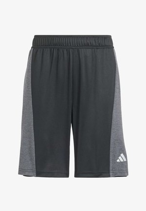 Black athletic shorts with a gray side panel, made from lightweight fabric. Features an elastic waistband and a small white logo on the lower right.