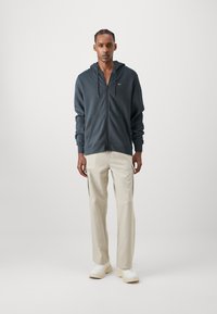 Tommy Jeans FLAG ZIP THRU - Sweat à capuche - new charcoal