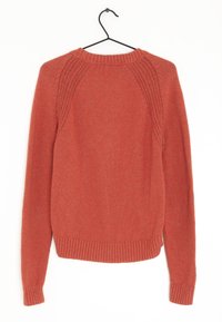 Rust-colored knitted sweater with a ribbed crew neckline, long sleeves, and textured detail on the shoulders. Hangs from a black hook.