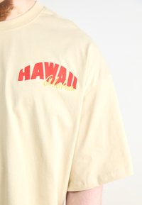 Beige t-paita, jossa on lyhyet hihat ja punakeltaiset "HAWAII Aloha" -graafit. Suuntaa-antava pinta, rento malli, pyöreä pääntie.