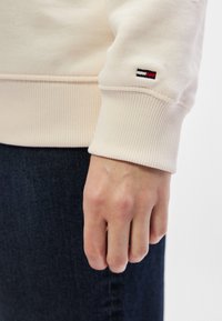 Ανοιχτό μπεζ φούτερ με ριγέ μανίκια, εξοπλισμένο με ένα μικρό κεντημένο λογότυπο σε κόκκινο, λευκό και μπλε χρώμα στην αγκώνα. Ορατά σκούρα τζιν παντελόνια.