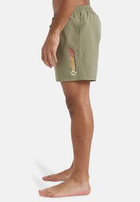 Bañador verde con cinturilla elástica y detalle del logo en los laterales en rojo y amarillo. El material es ligero y tiene una textura suave.
