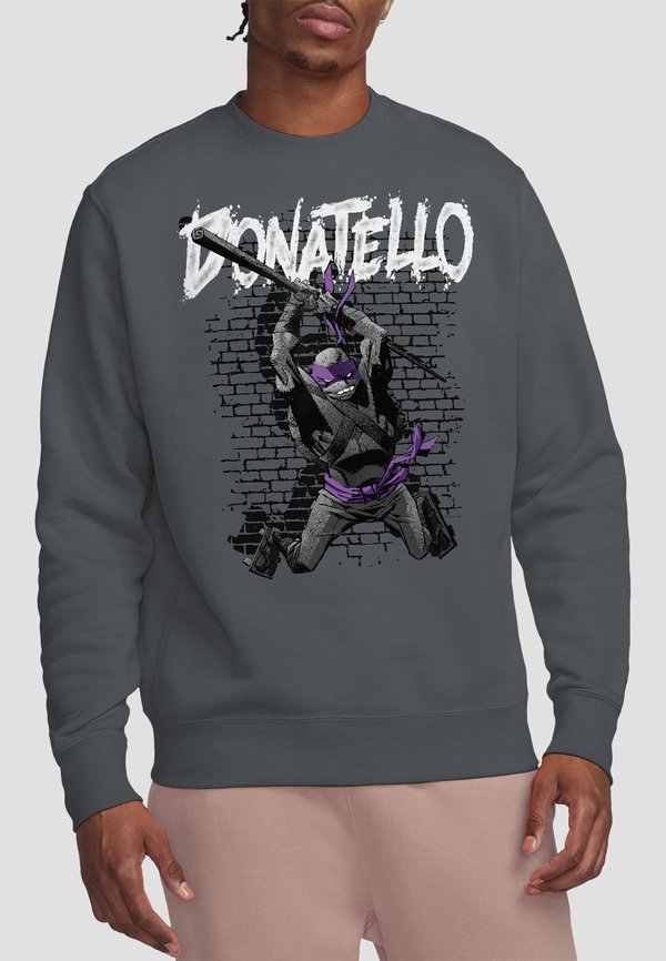 TEENAGE MUTANT NINJA TURTLES DONATELLO - Sweatshirt - anthracite
