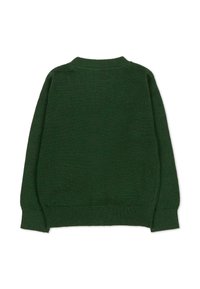 Maglione verde scuro con una classica texture a maglia, maniche lunghe e scollatura rotonda. Presenta polsini e orlo a costine per una vestibilità aderente.