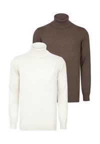 Deux pulls à col roulé : un en beige doux, l'autre en marron foncé. Tous deux présentent des cols côtelés et des manches longues, fabriqués en tissu tricoté lisse.