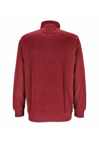 Rückansicht eines langärmligen, dunkelroten Pullovers mit hohem Kragen und subtilen Strukturmustern im Stoff.