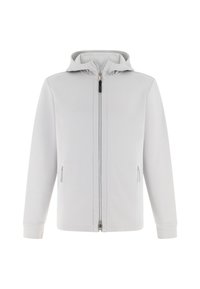 Sweat à capuche gris clair avec fermeture éclair, capuche, manches longues et deux poches latérales zippées, présenté sur fond blanc.