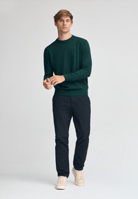 Grüner Strickpullover mit Rundhalsausschnitt, kombiniert mit dunklen Hosen und hellen Sneakers. Schlichtes Design mit kleinem Logo auf der Brust.