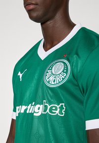 Grøn sportstrøje med hvid krave, udstyret med et rundt logo af Palmeiras, en stjerneaccent og "sportigbet" trykt i hvid tekst.