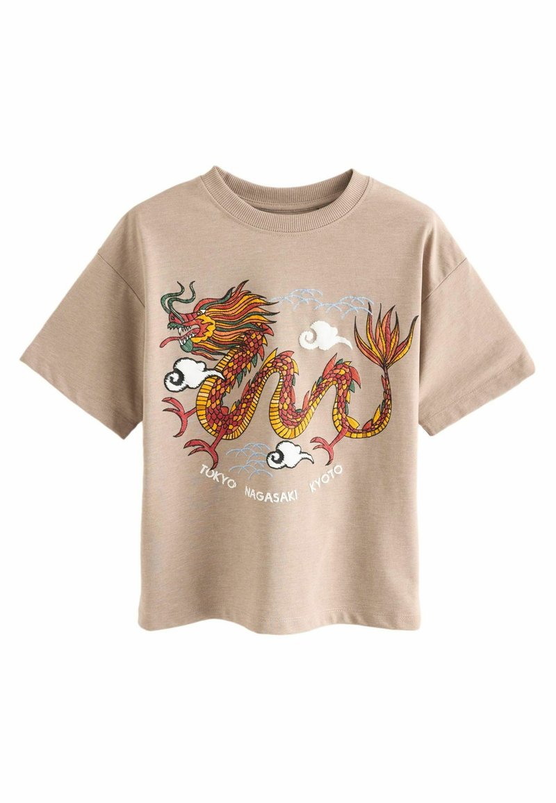 Next RELAXED FIT SHORT SLEEVE GRAPHIC STANDARD - Printtipaita - stone dragon