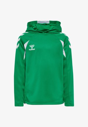 Grünes, langärmeliges Sport-Sweatshirt mit Kapuze, weißen Chevron-Streifen auf den Ärmeln und weißem Logo auf der Brust.