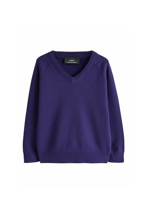 Pull violet à manches longues col en V avec poignets et ourlet côtelés, en tissu tricoté, présenté sur fond blanc.